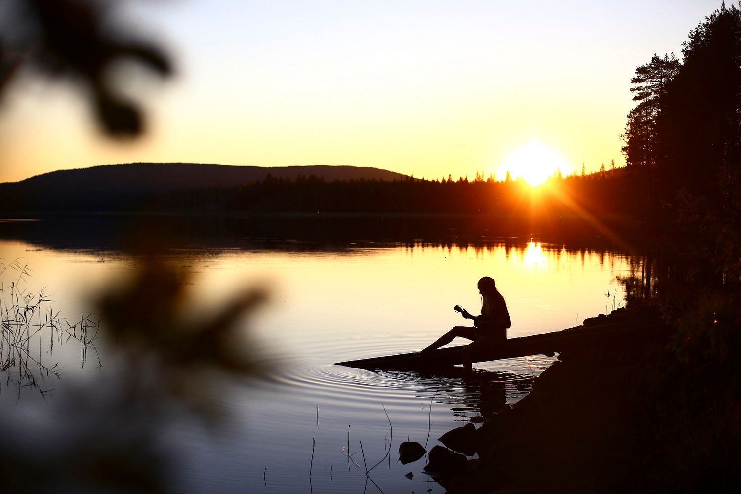 A solitary silhouette sits on a lakeside dock reading during a golden sunset in a serene forest.