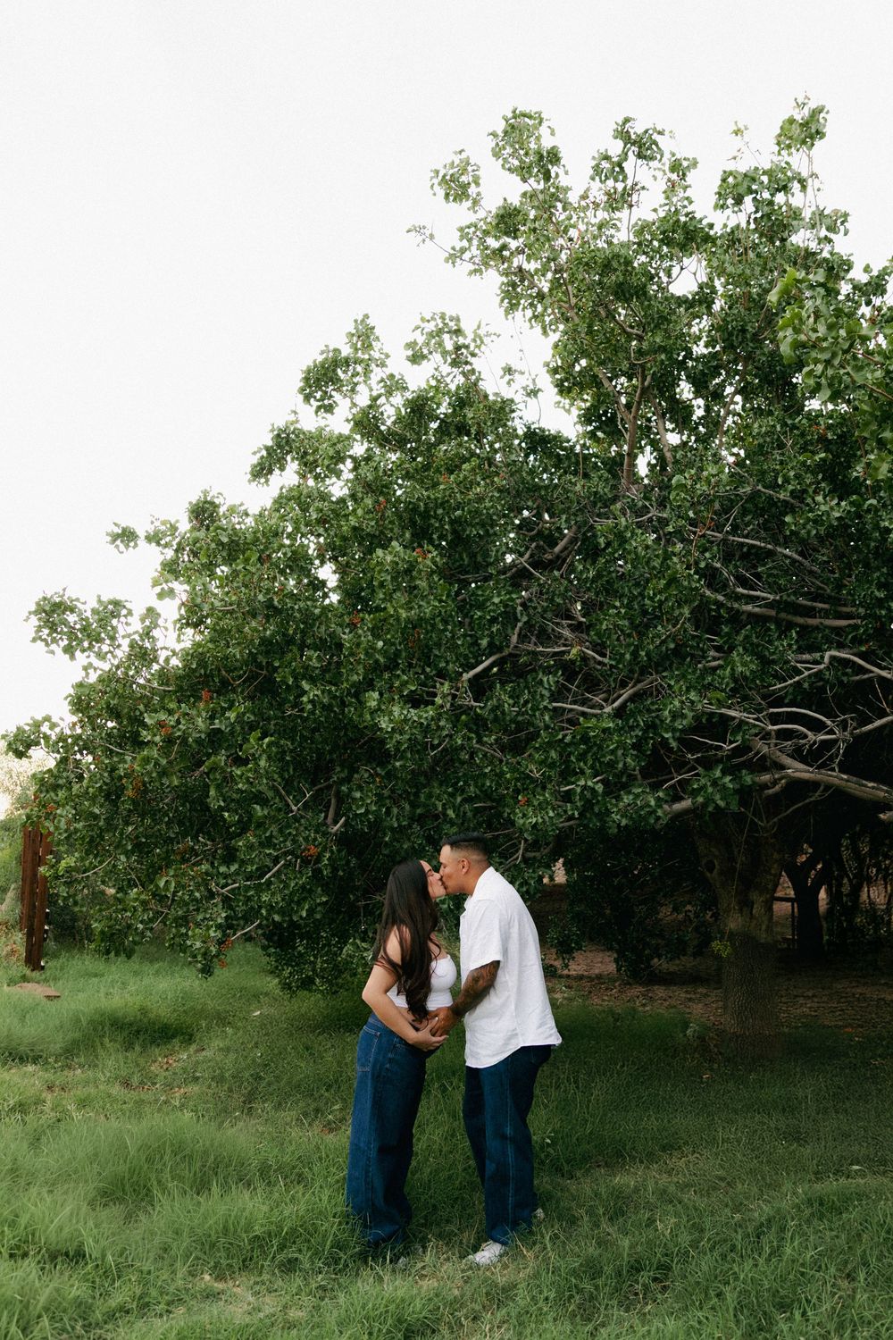 Couple sharing a romantic kiss while standing in a lush green park beneath a large tree.