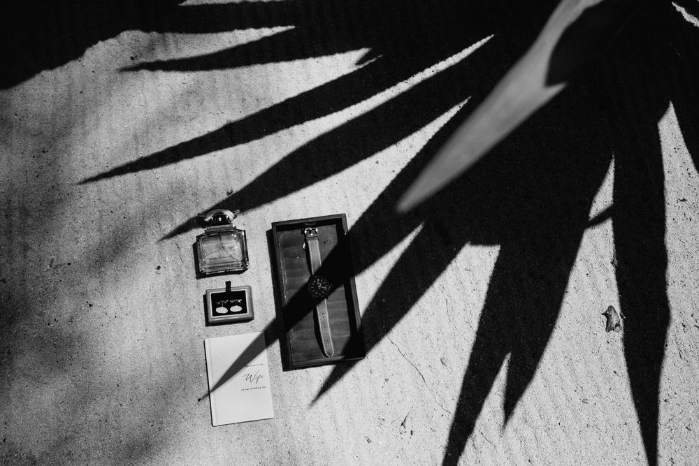 Black and white photo of dramatic palm leaf shadows cast on a wall with small framed pictures.