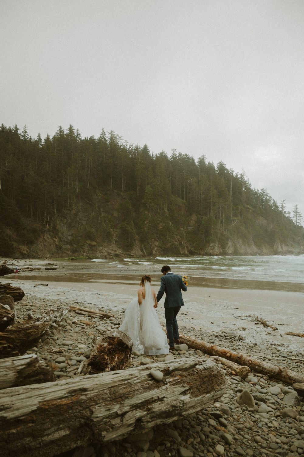Foggy coastal beach landscape with driftwood logs and evergreen trees along the Pacific Northwest shoreline.