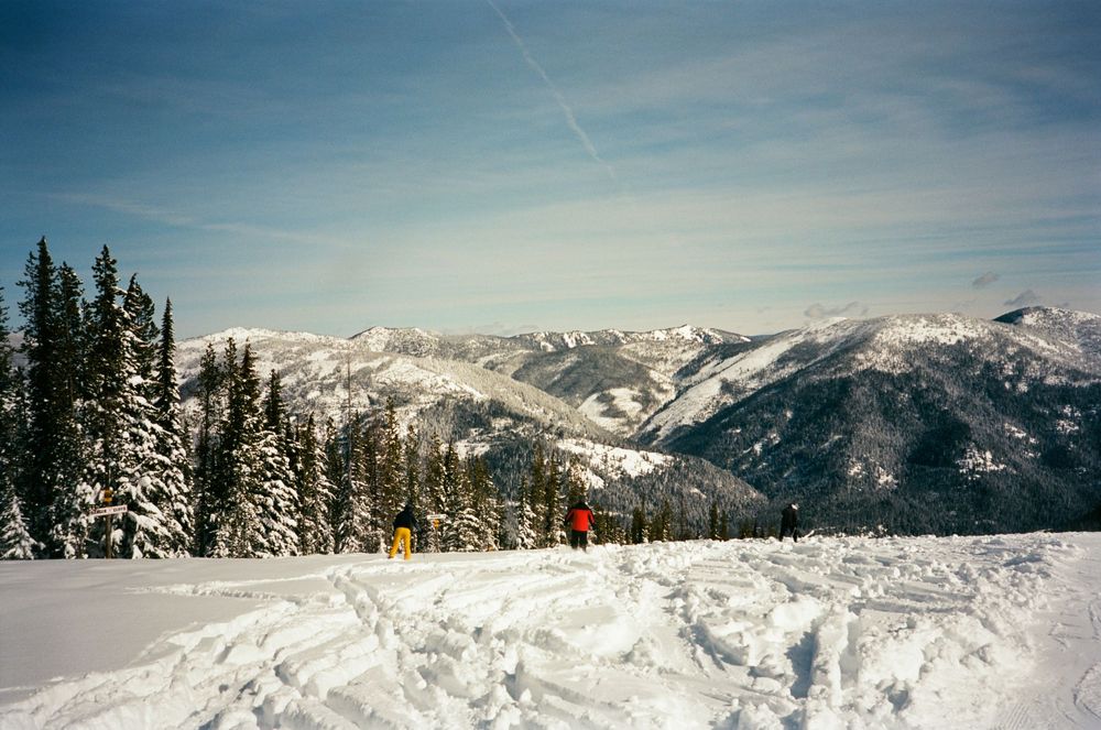 Skiers on a snowy mountain slope surrounded by snow-covered pine trees with scenic mountain range views under a blue sky.