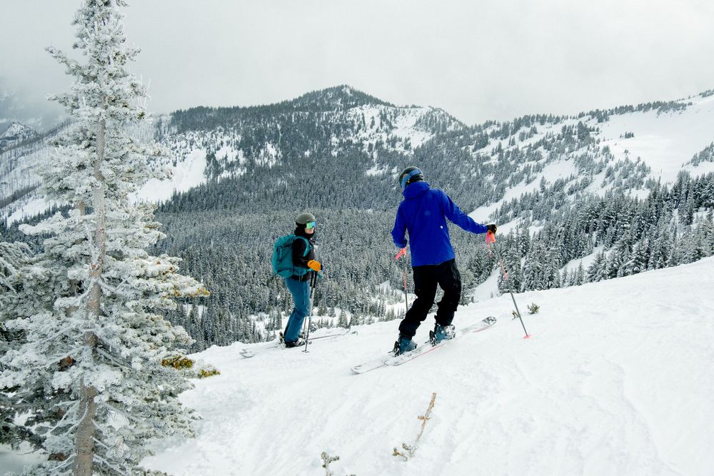 Skiers descending a snowy mountain slope with evergreen trees and mountain peaks in the background.