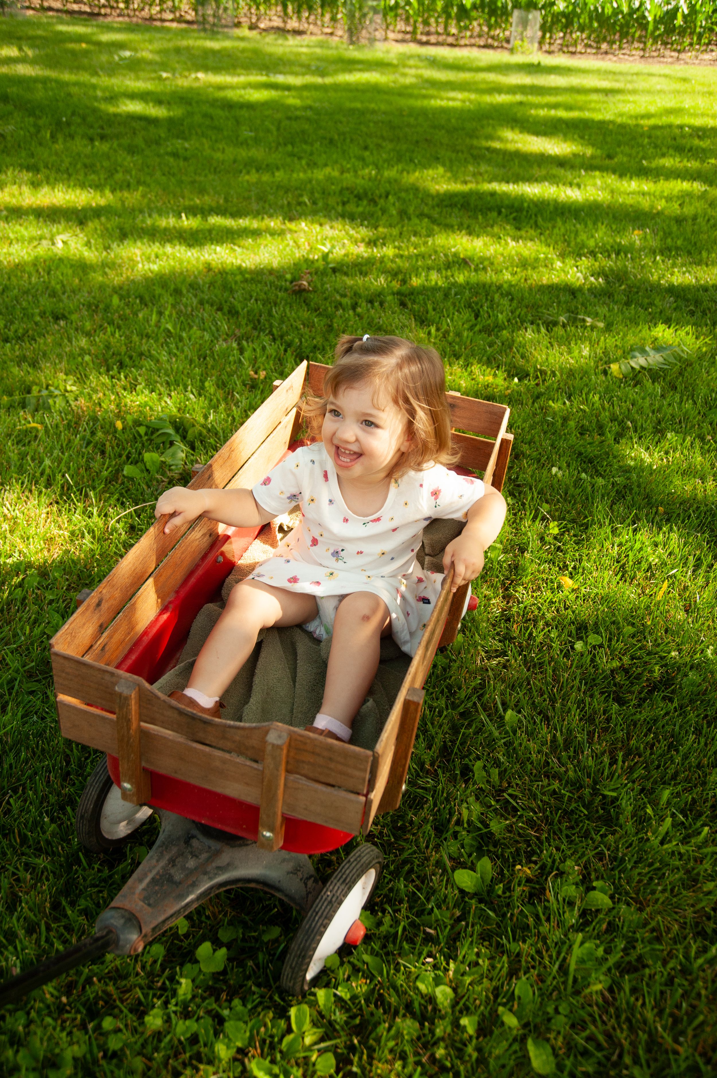 Family Portraiture