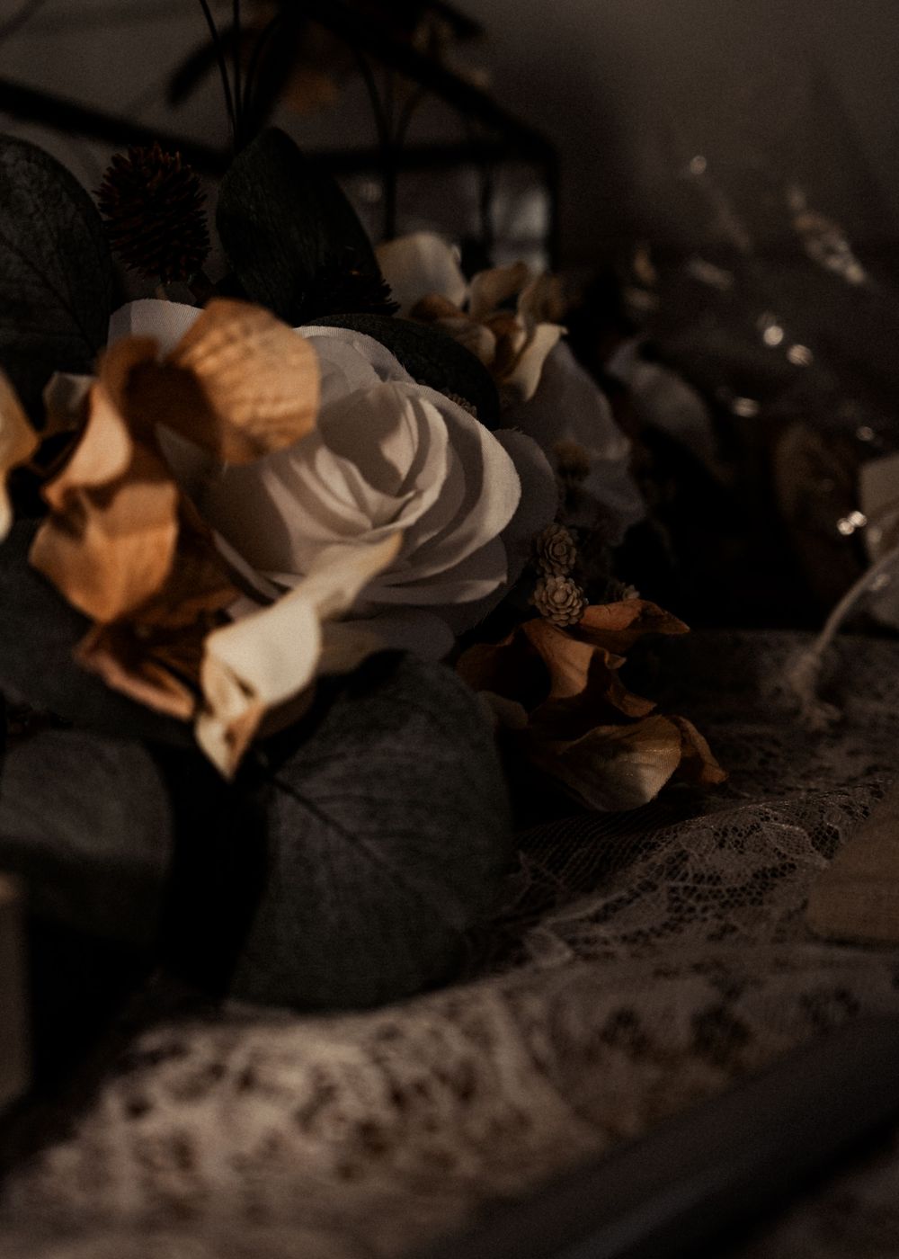 Moody close-up of dried flowers and leaves with dramatic shadows and textures.