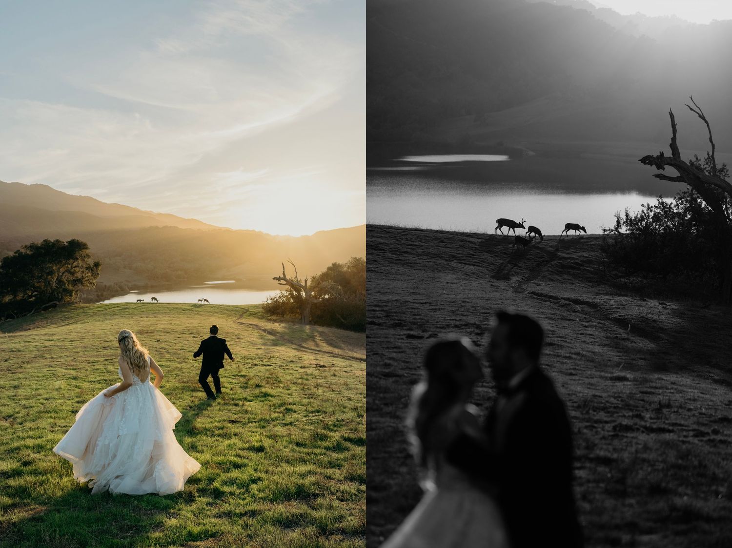A series of silhouetted figures and wedding dress shots against dramatic landscapes at sunset and sunrise.