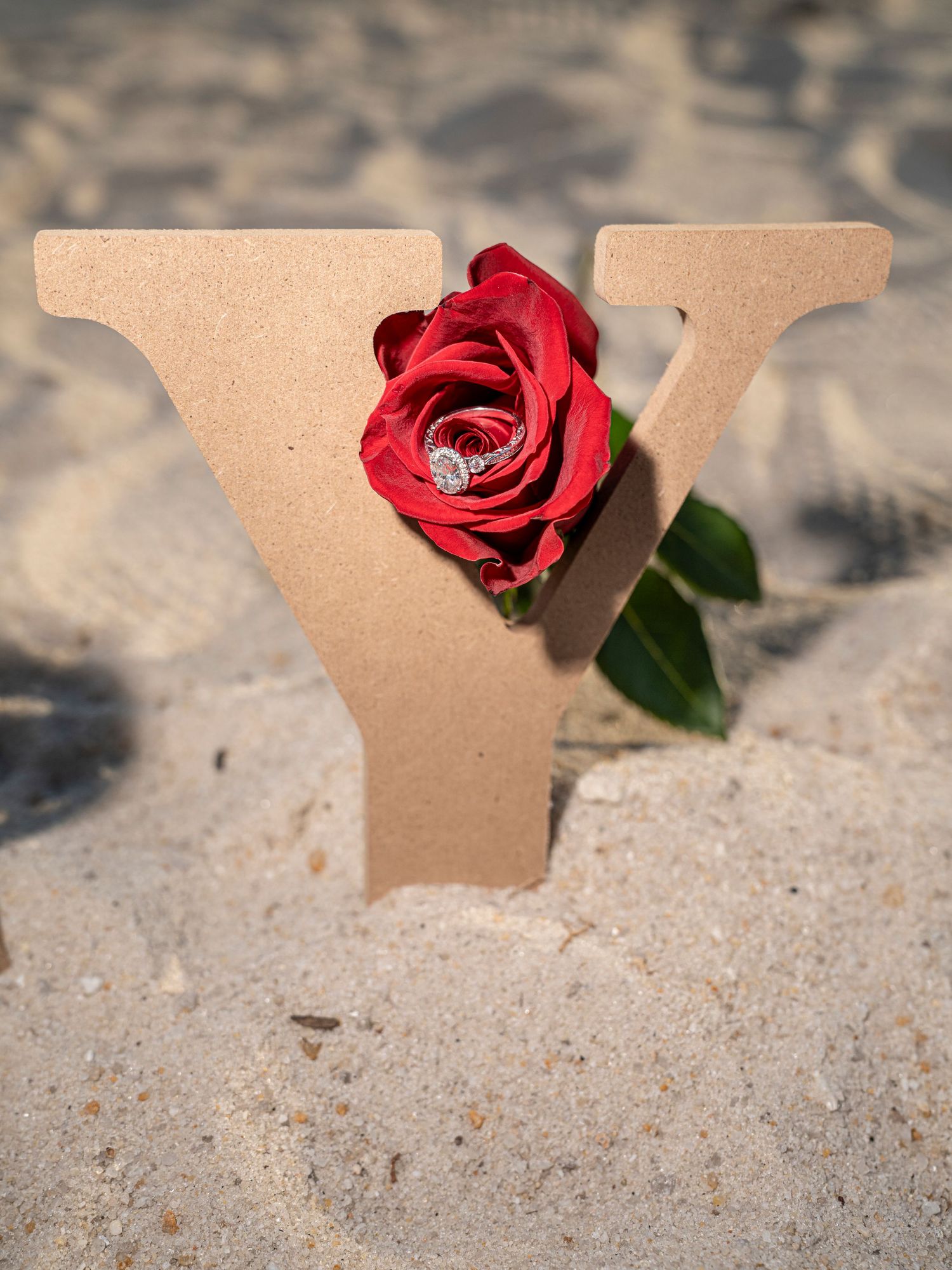 A red rose rests on a tan wooden letter cutout against a textured beige surface, creating an elegant decorative display.
