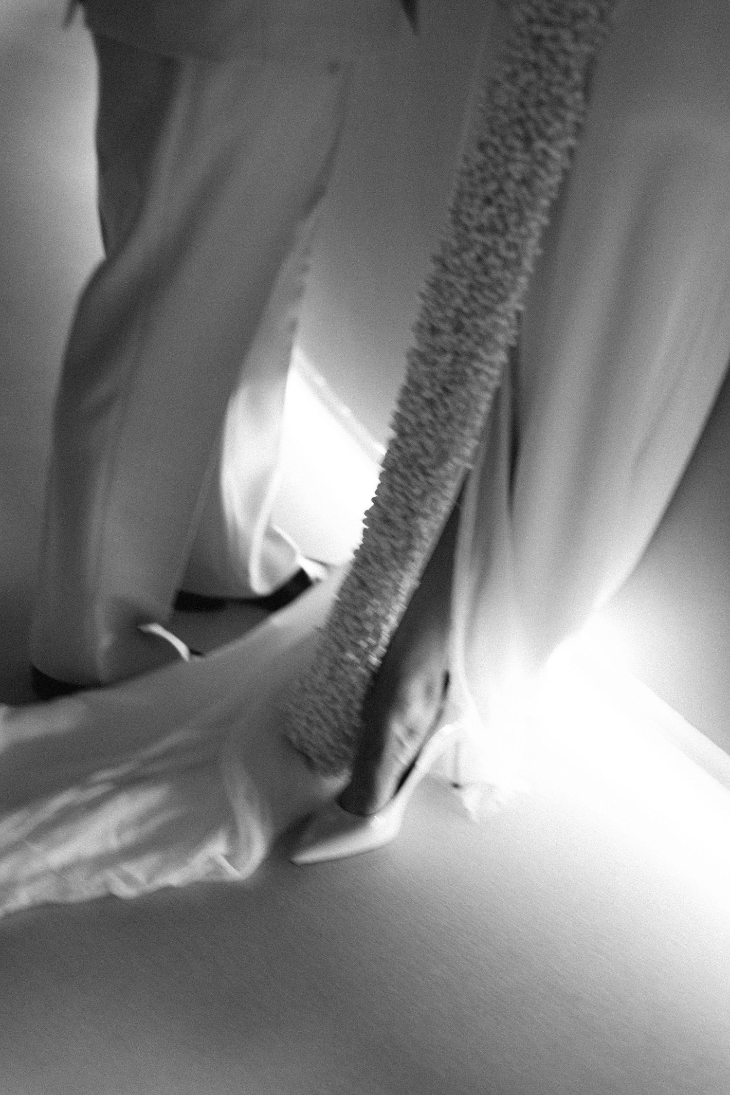 Abstract black and white photos showing flowing fabric and dramatic lighting effects.