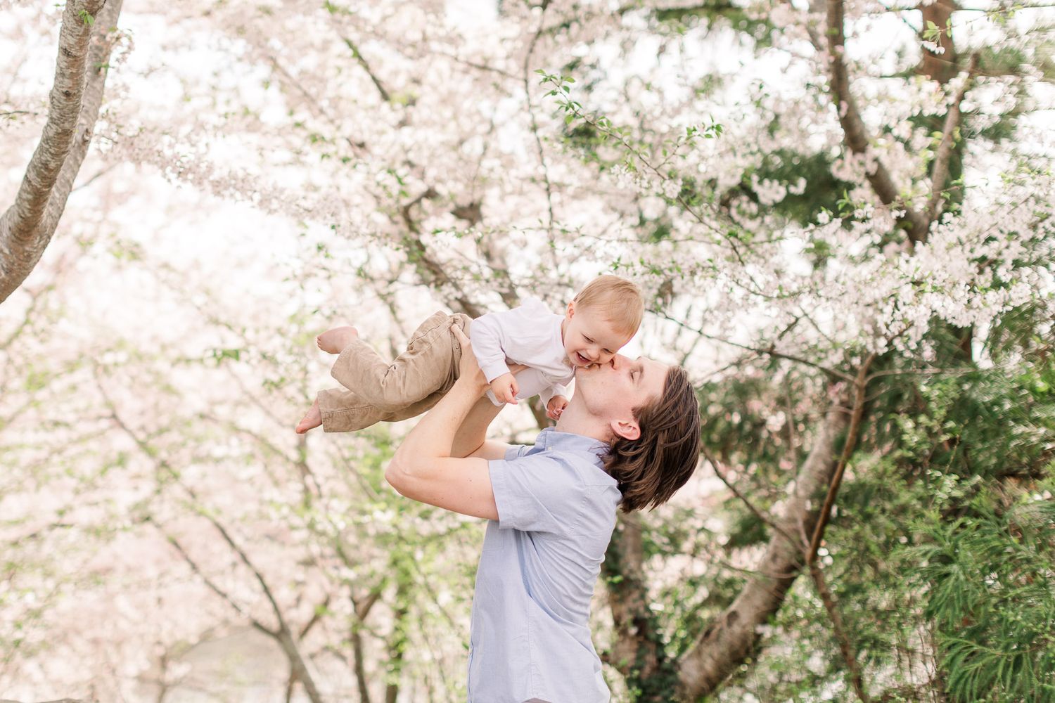 Dad and baby among the Cherry blossoms for a  mini photo session in Midlothian Virginia.