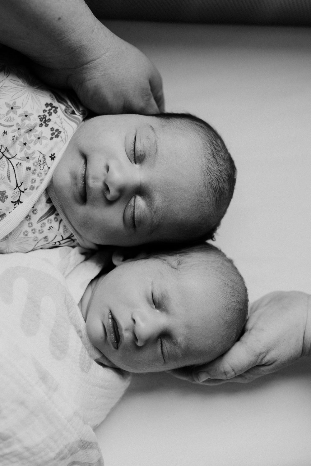 Same Sex Family New Born Photography Sydney