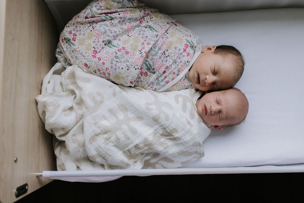 Same Sex Family New Born Photography Sydney