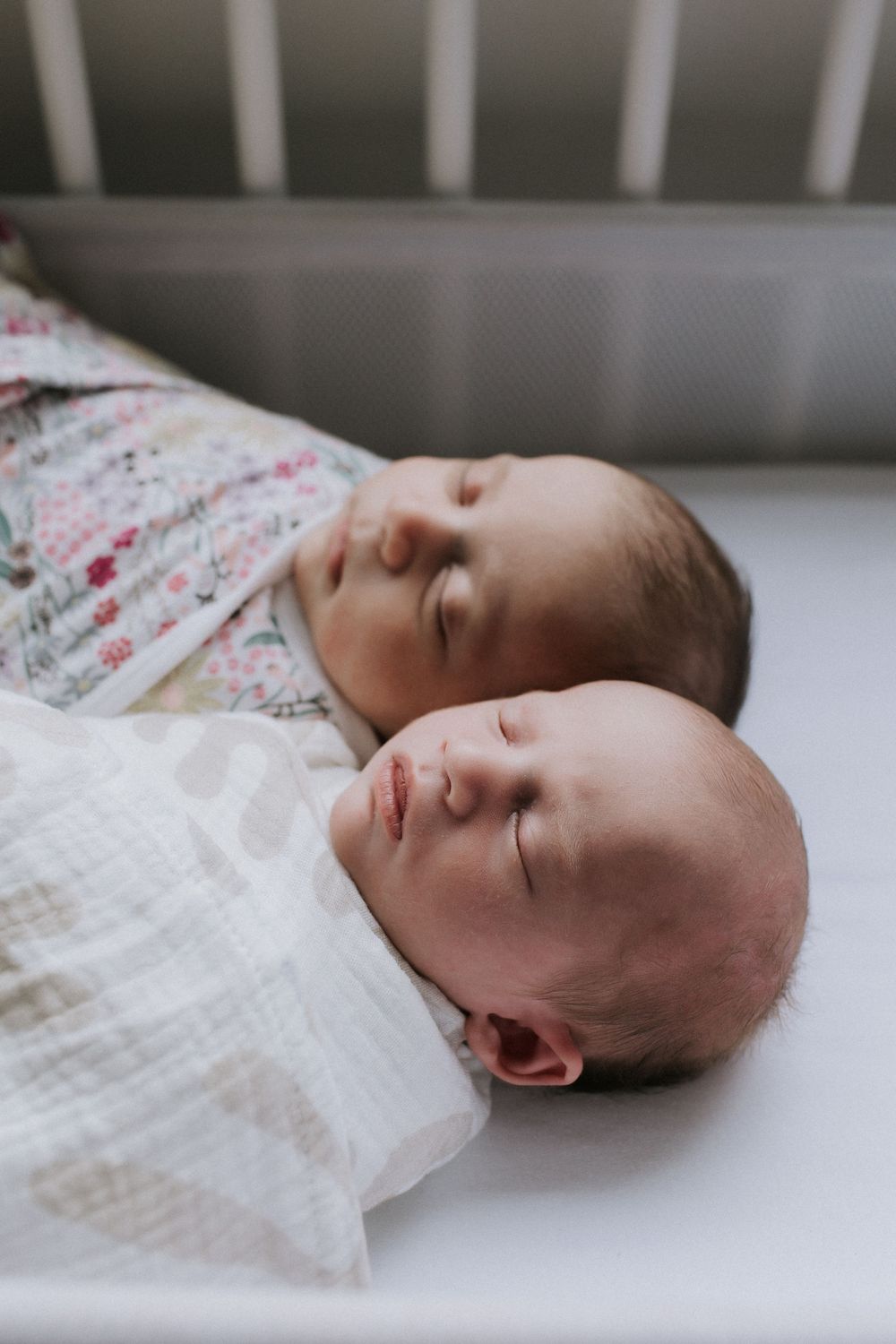 Same Sex Family New Born Photography Sydney