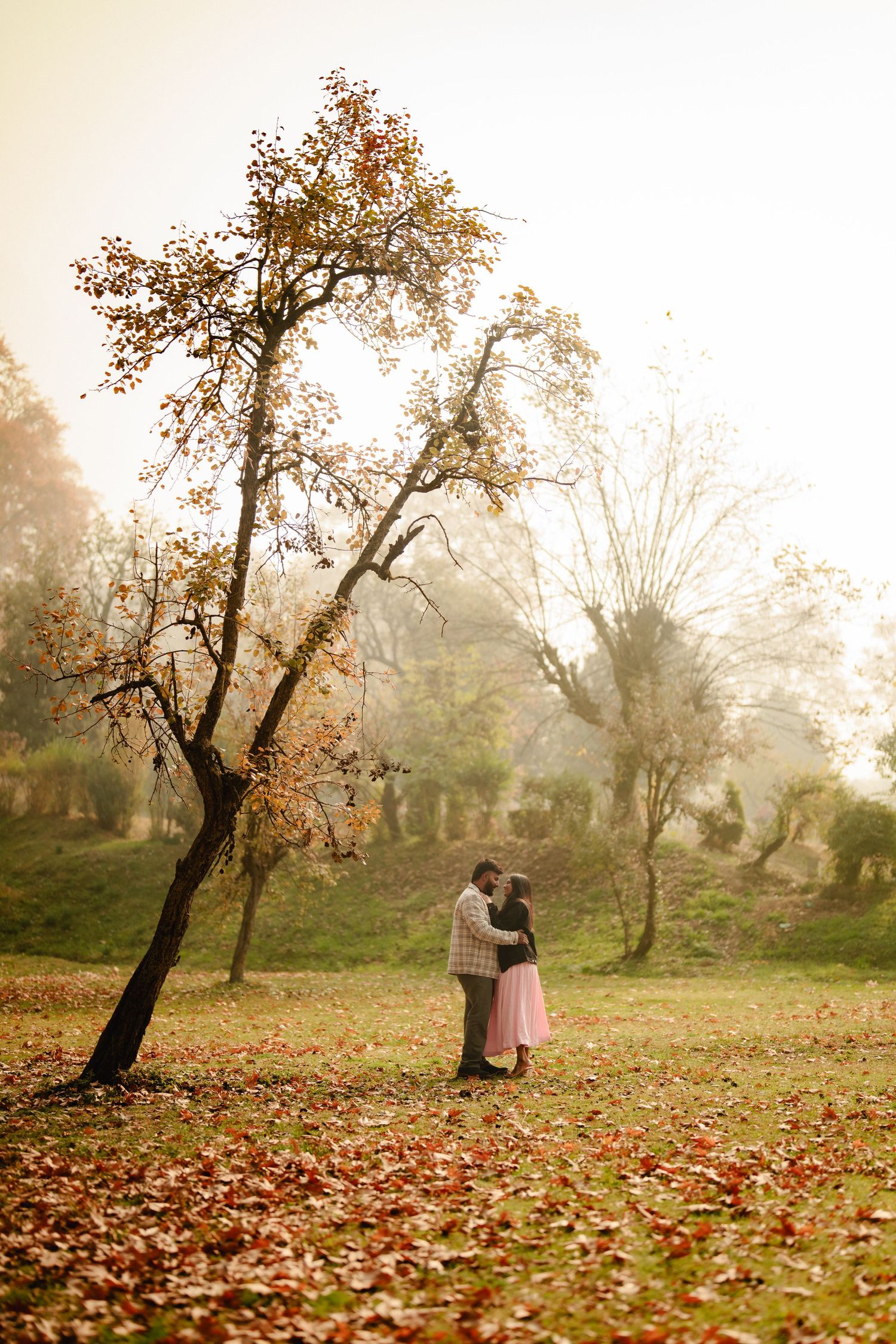 Couple embracing under autumn tree in misty park with fallen leaves and soft golden light.
