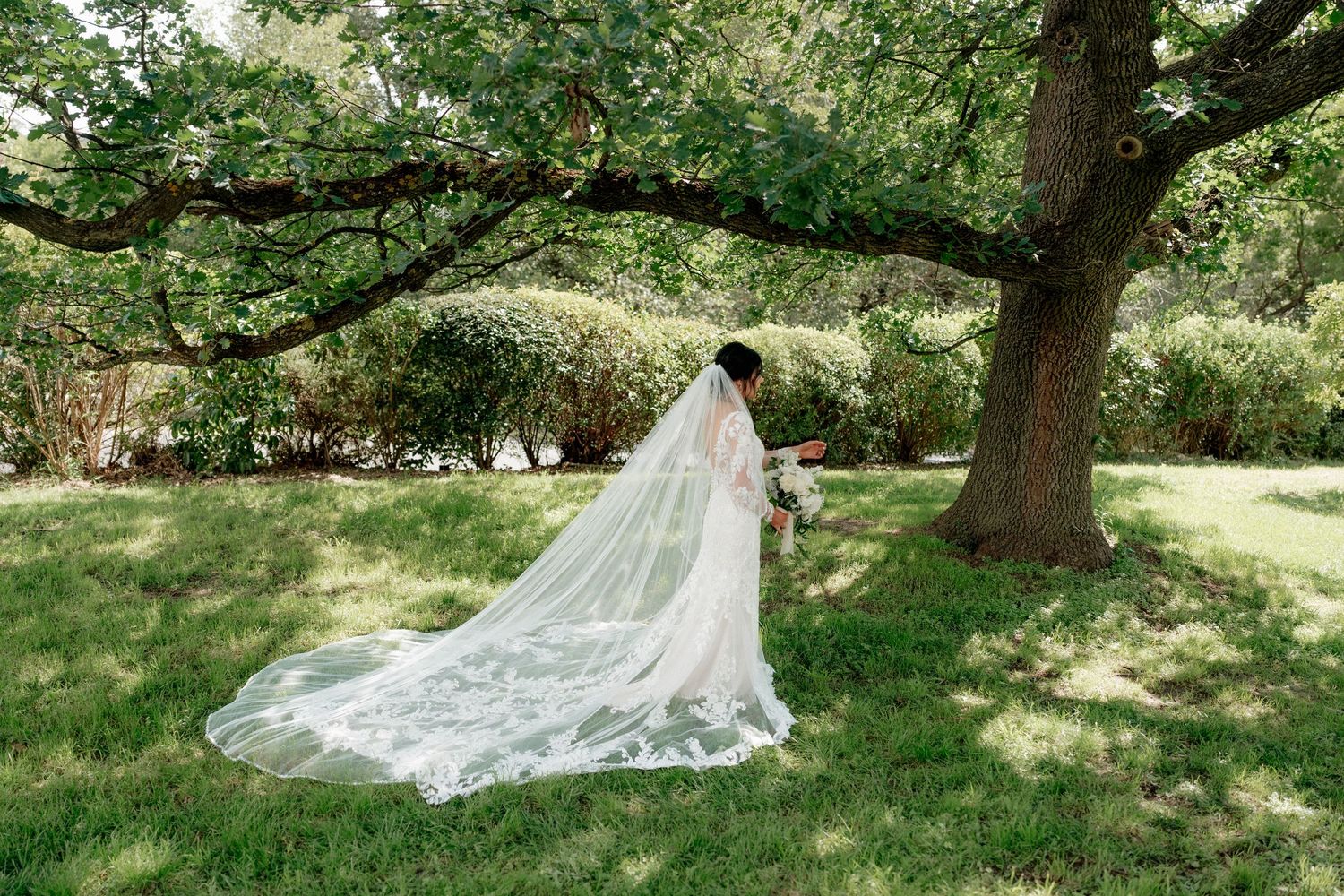 Bride in a flowing white gown with a long lace veil stands beneath a large oak tree in a lush green garden.