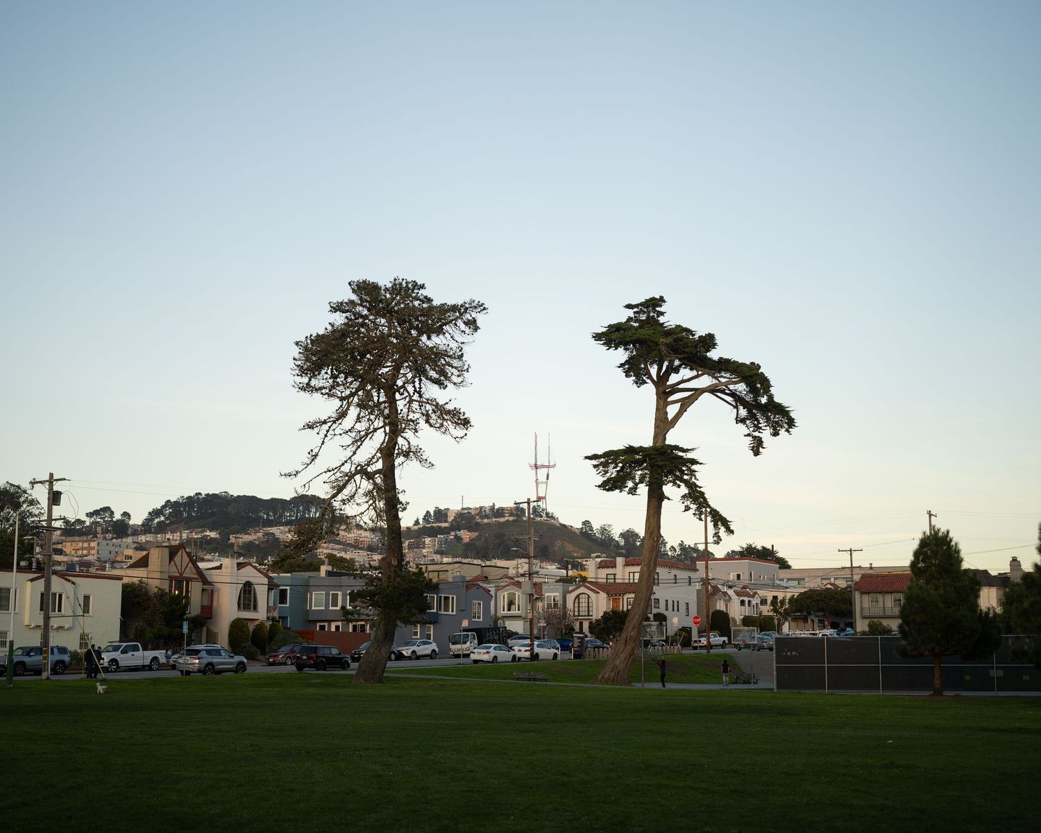 Misty San Francisco park at dusk with tall trees, green lawn, and residential buildings under overcast skies.