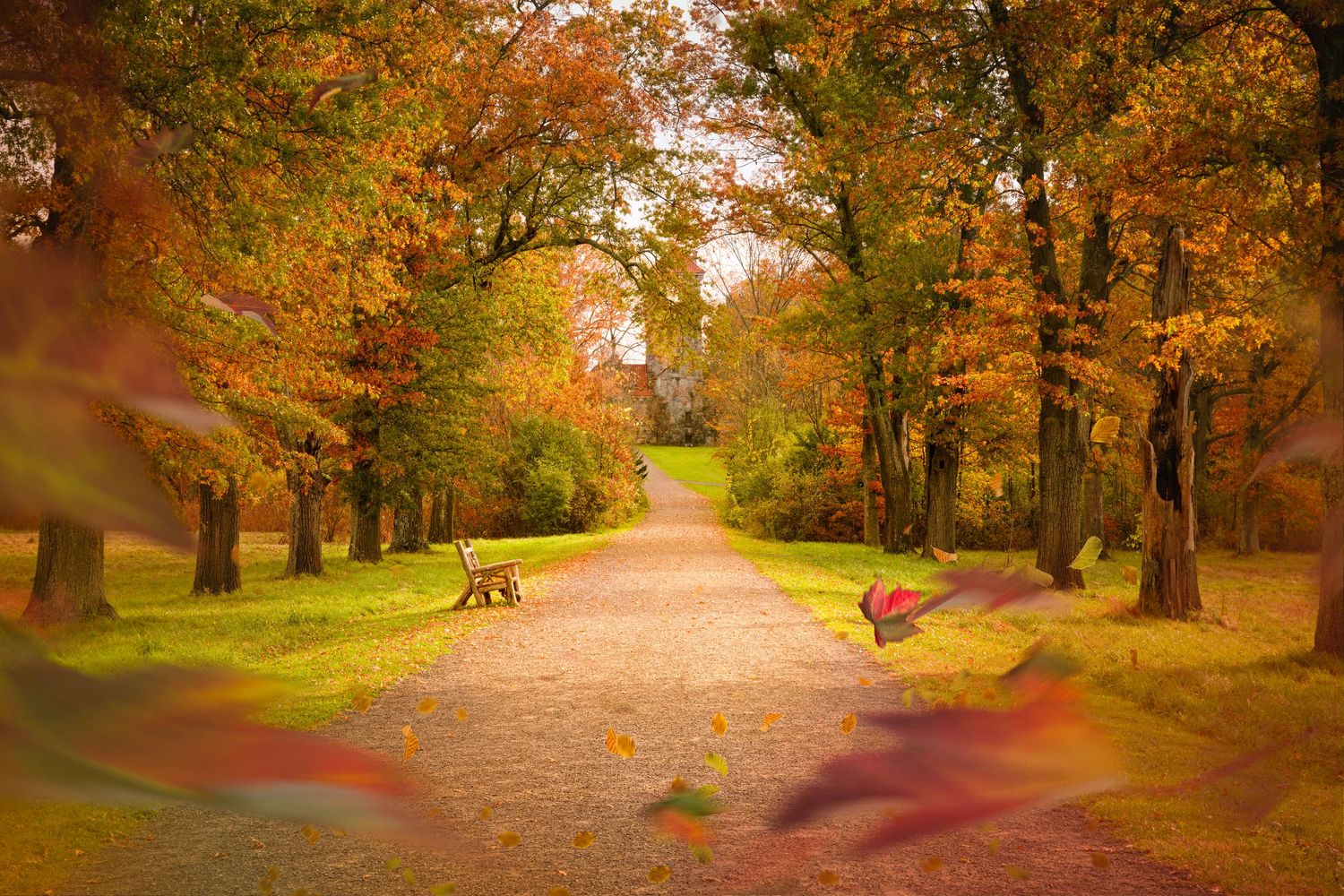 Autumn park path lined with colorful orange and red trees, fallen leaves swirling in the breeze, and a bench along the walkway.