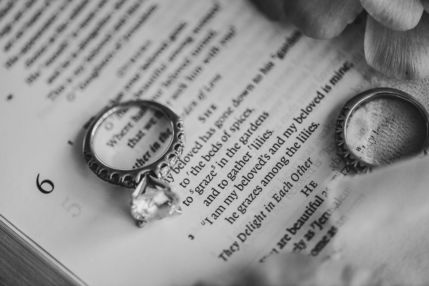 wedding rings laying dramatically on a bible