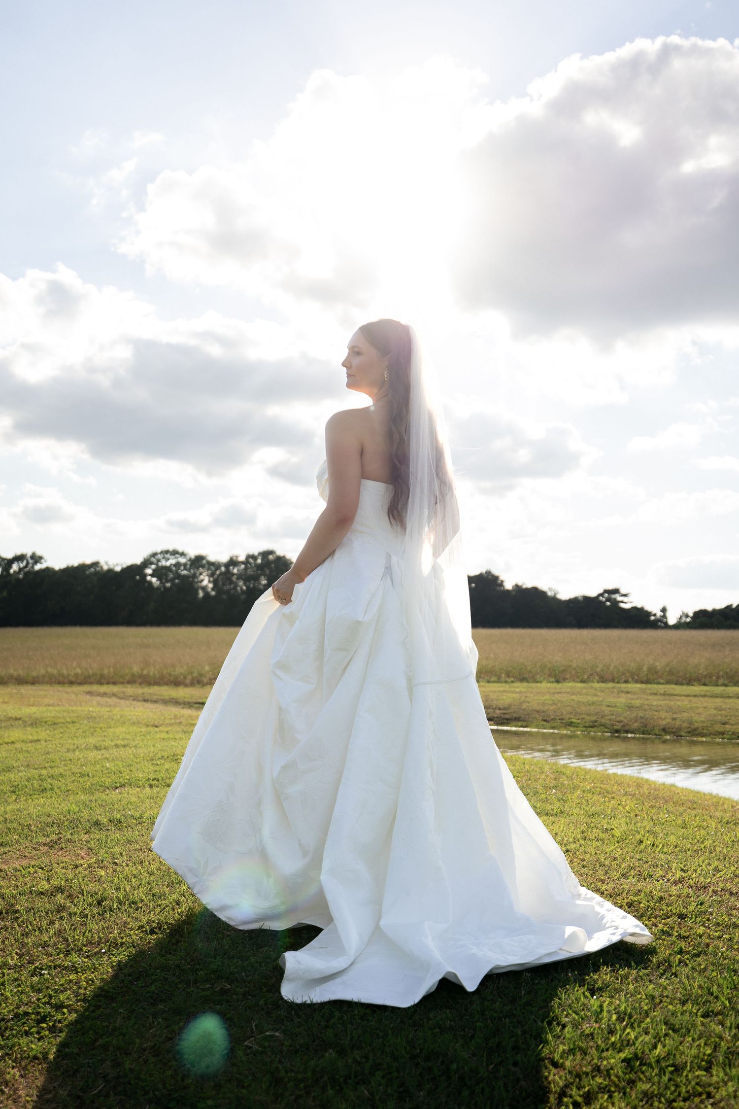 Bride in a white strapless ball gown with veil stands in a sunlit field, looking gracefully over her shoulder.