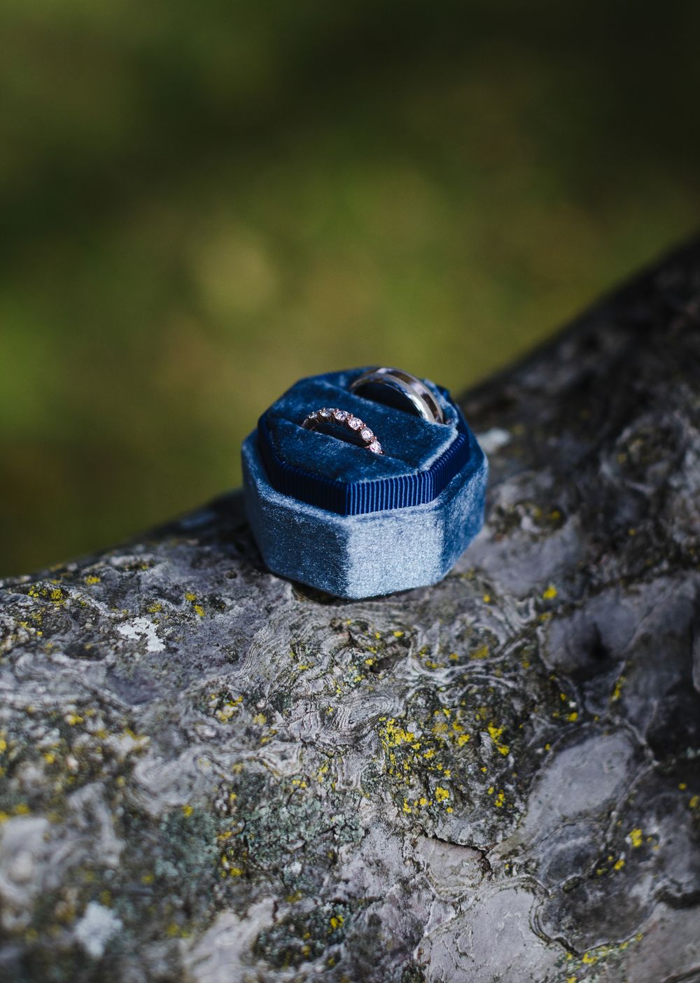 Wedding rings sit in a blue velvet box on a tree branch covered with moss. Concord, Harvard, Andover wedding photographer