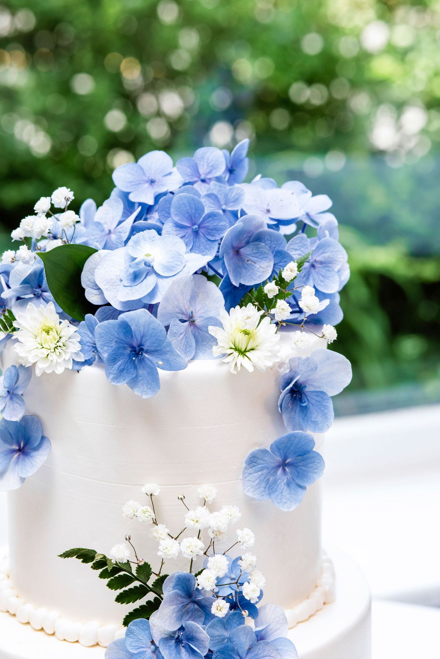 A romantic proposal scene set between rows of grapevines in a scenic vineyard with white flowers and a blanket.