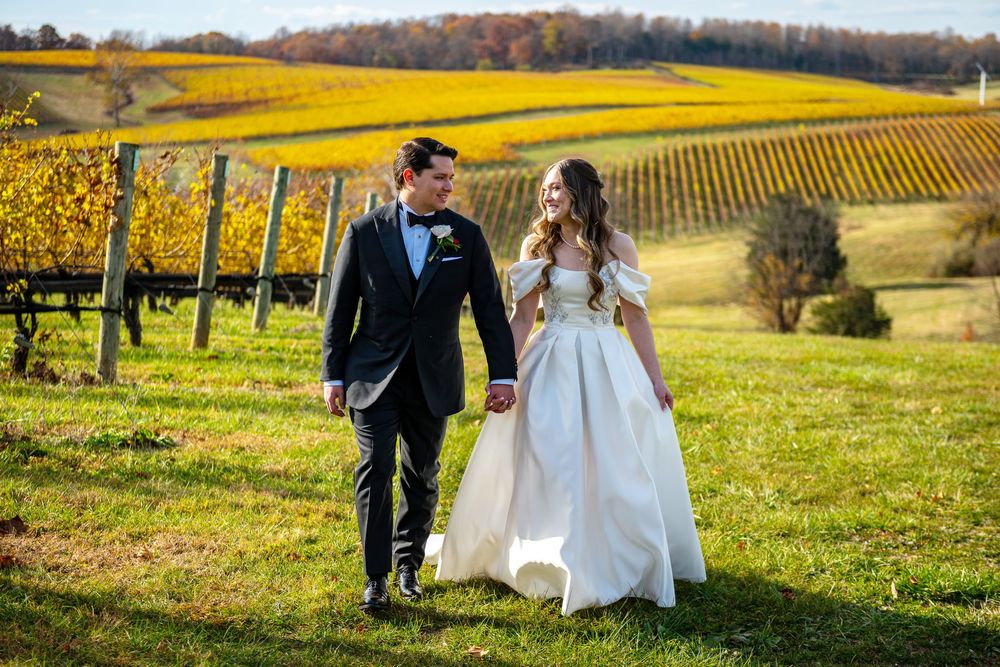 Scenic autumn vineyard wedding with rolling hills of golden vines and fall foliage in the background.