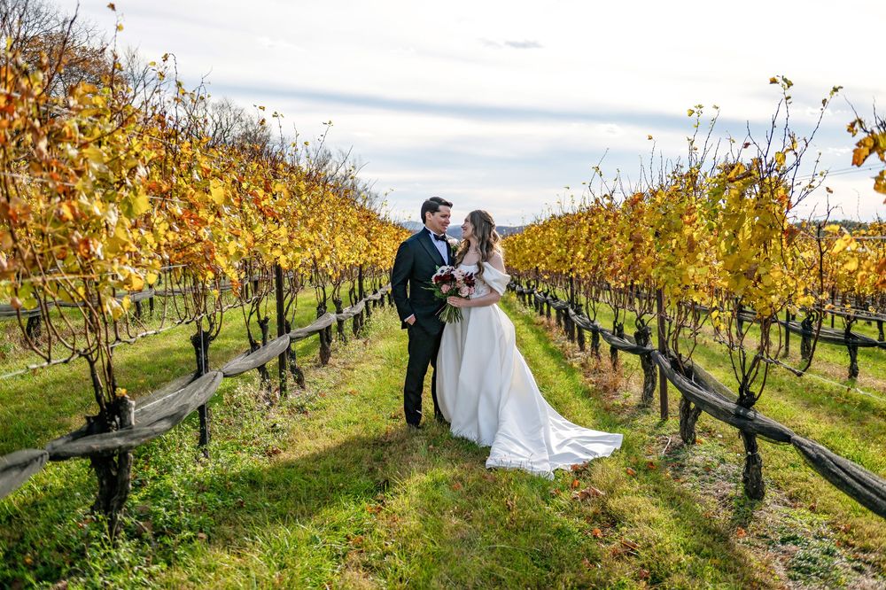 A couple celebrates their wedding day among golden autumn vineyard rows as their veil catches the gentle breeze.
