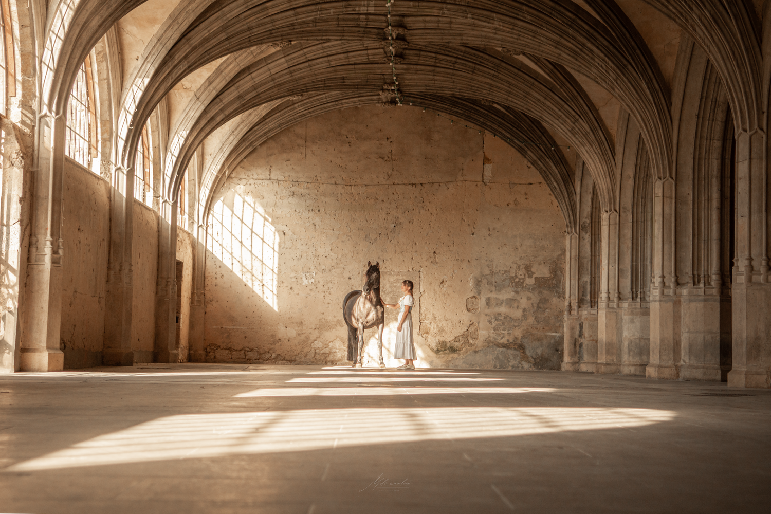 photographie cheval cloître lumière femme