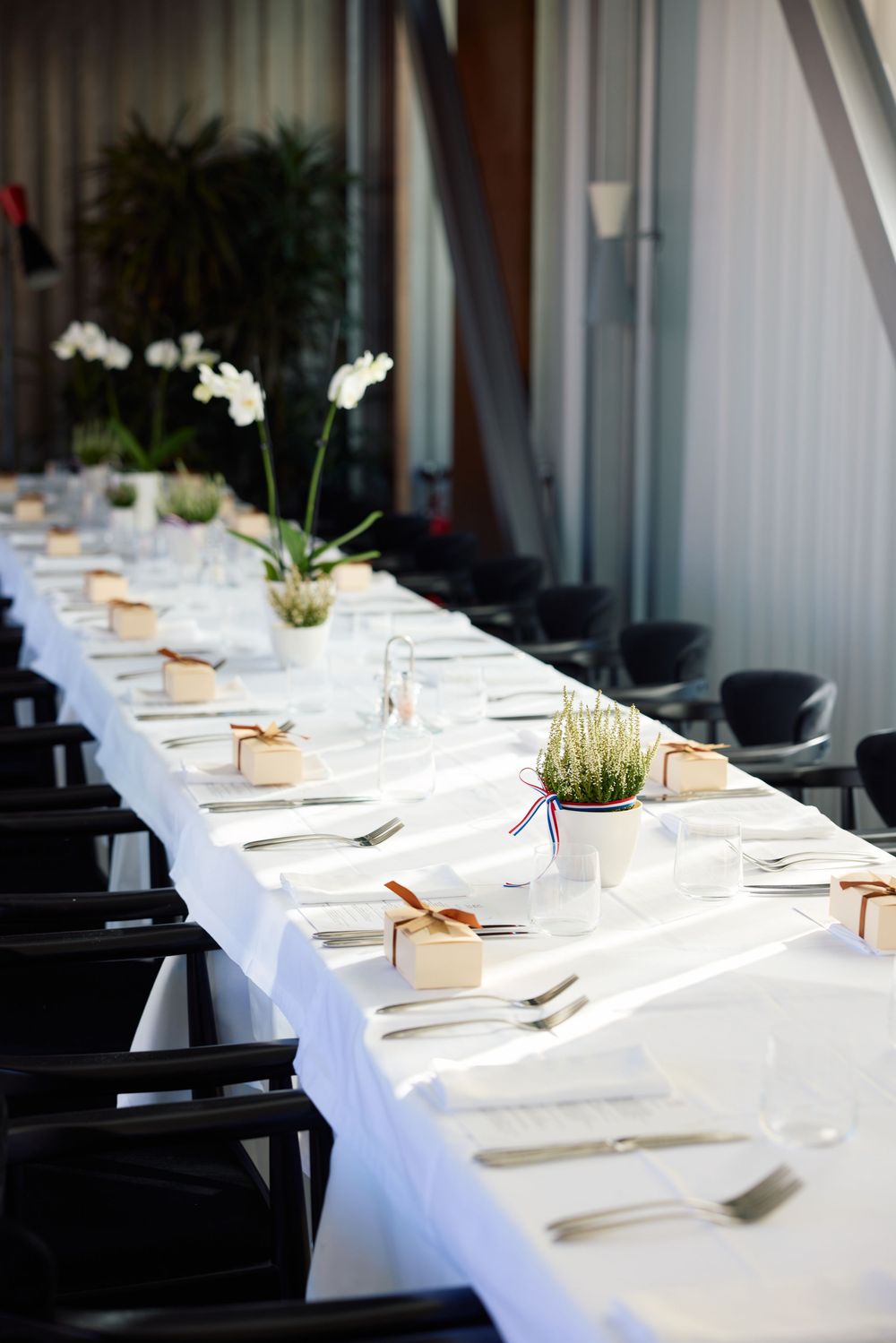 Elegant white dining table setup with minimalist place settings and small potted plants in natural light.