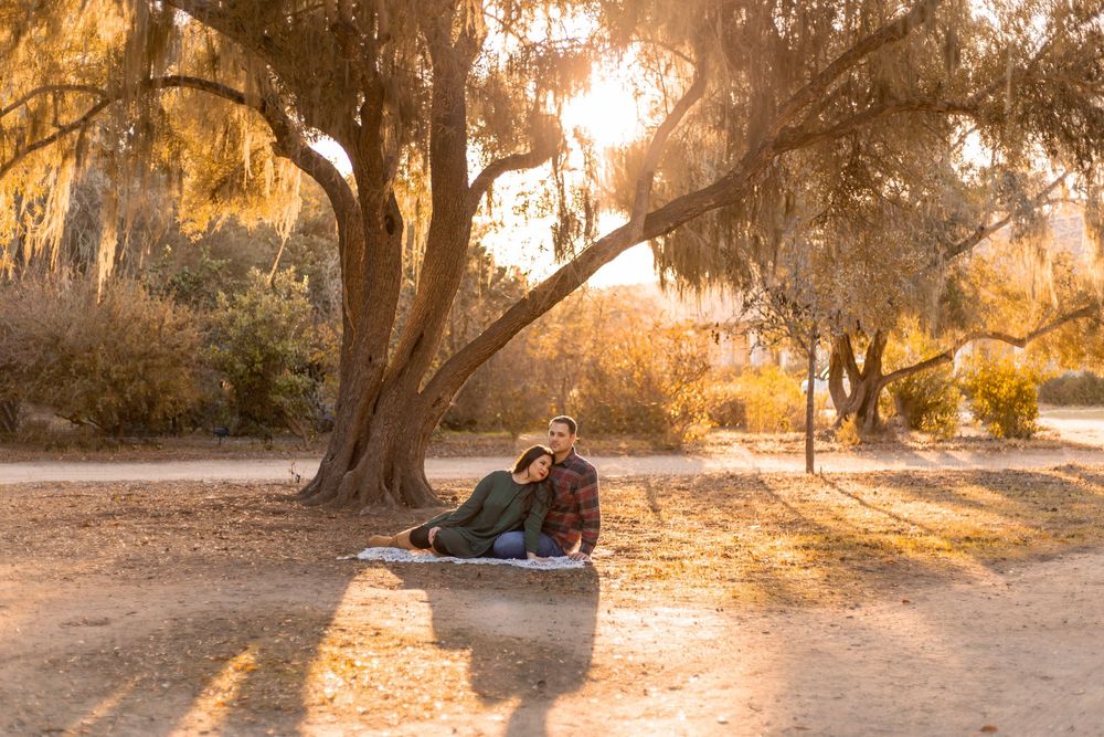 Couple sitting on blanket under golden sunlit trees during romantic sunset picnic in nature.