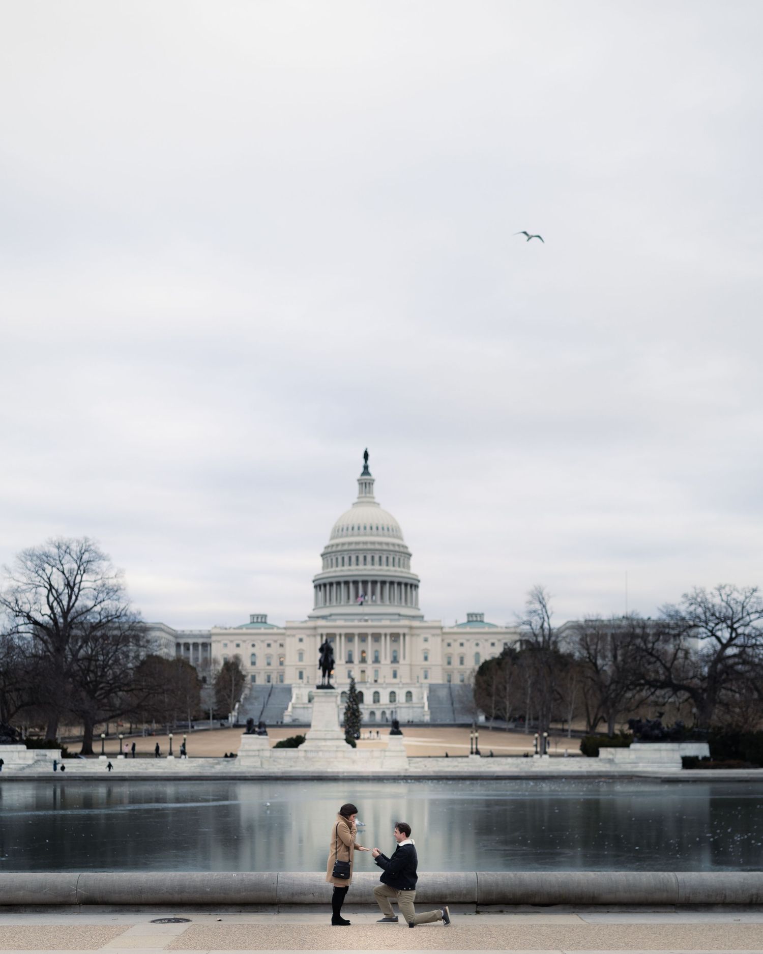 A beautiful proposal at US Capitol Building in Washington DC under an overcast sky.