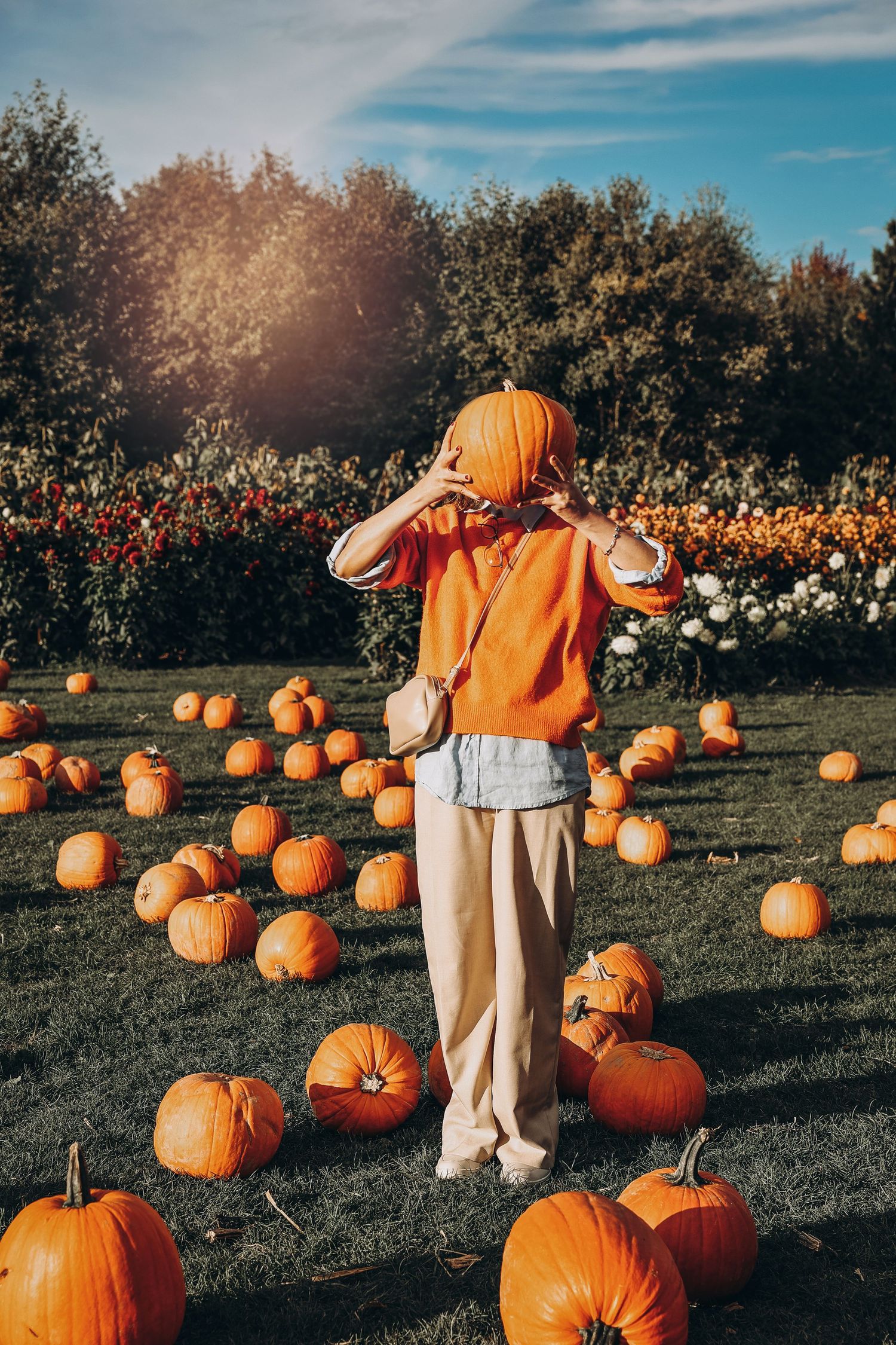 Figure in orange sweater poses among scattered pumpkins in an autumn field.