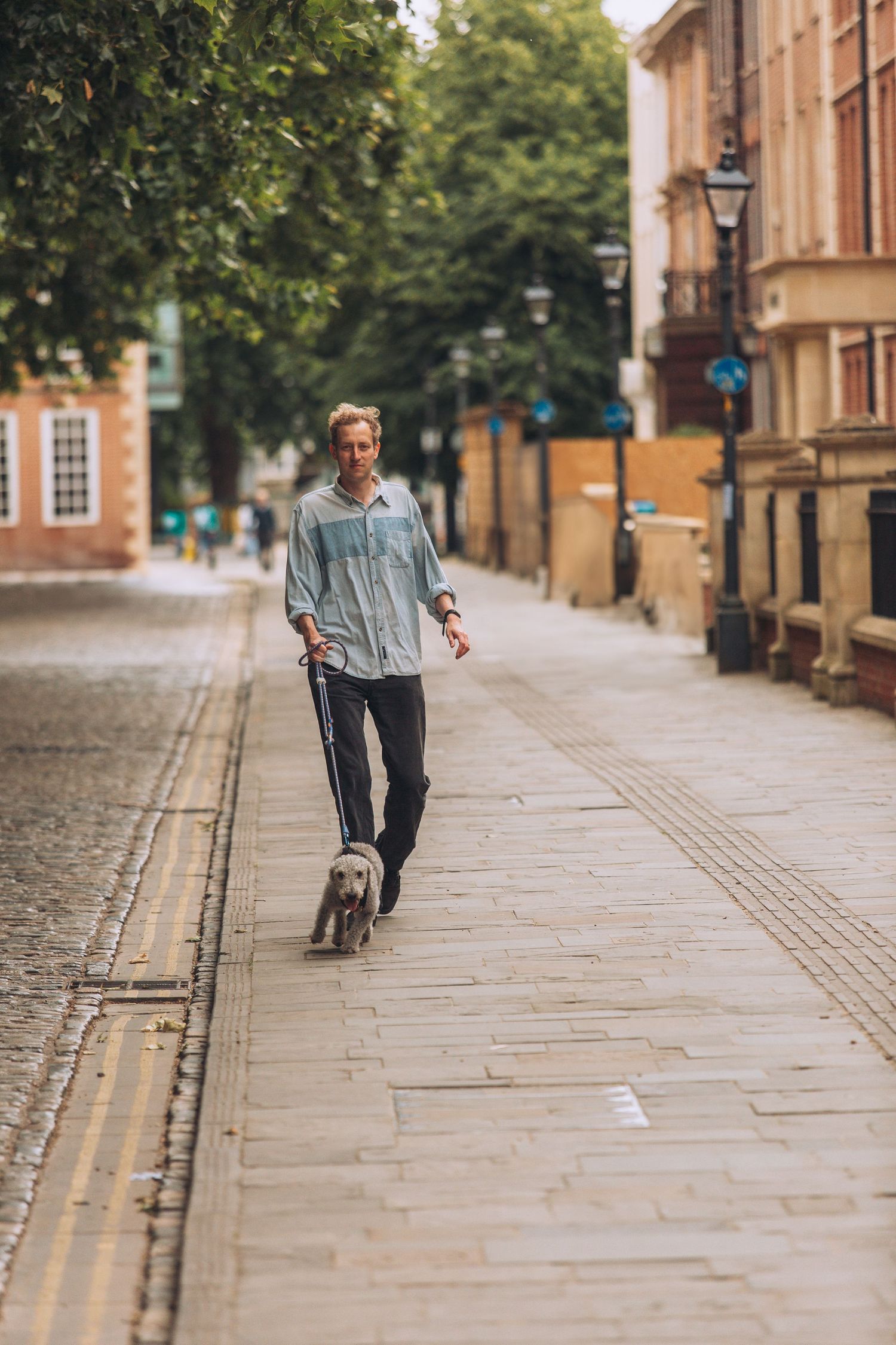 A person in casual attire walks their small gray dog along a quiet cobblestone street lined with historic buildings.