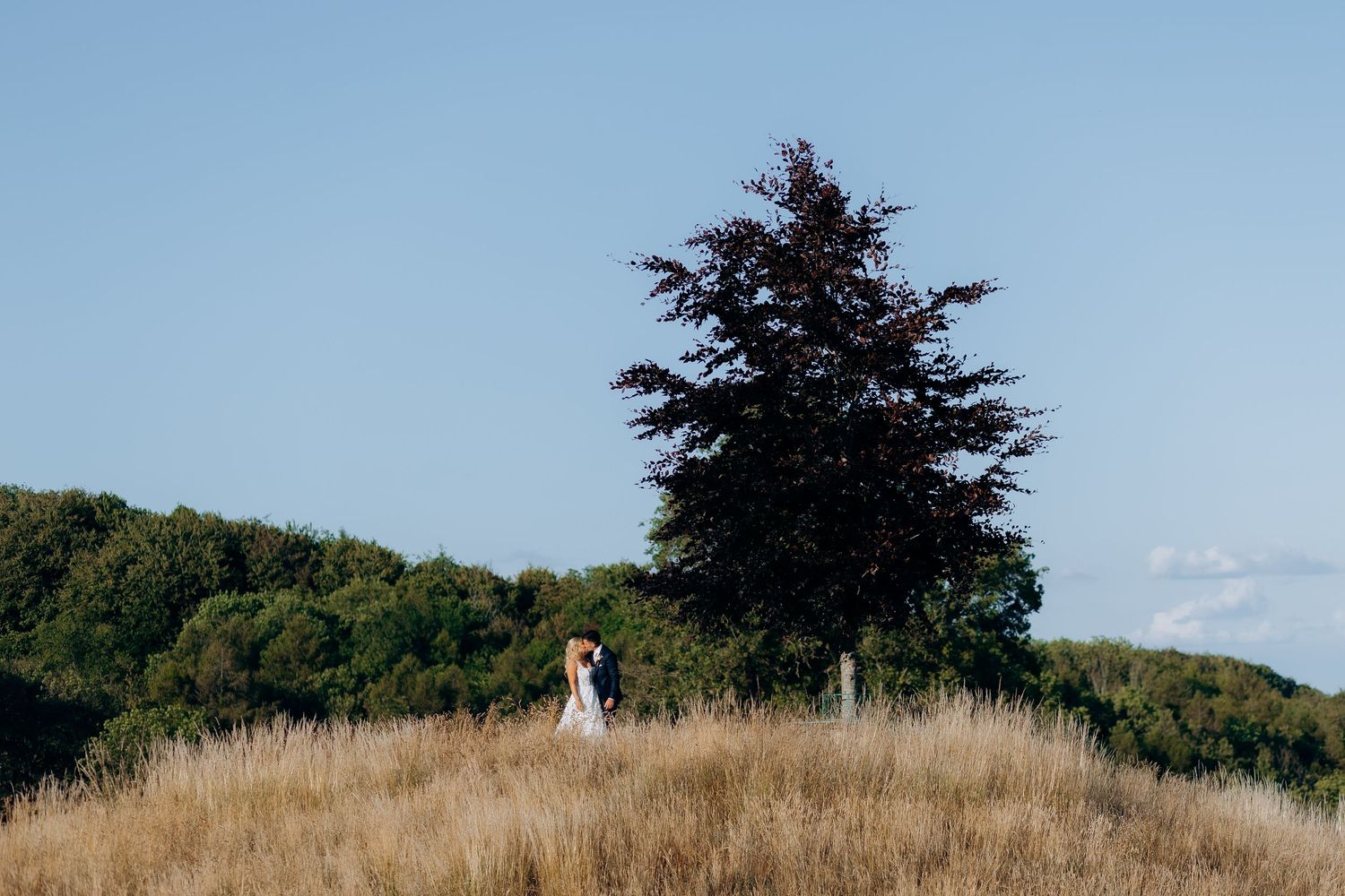 A silhouette stands on a grassy hilltop against blue sky with a large evergreen tree in the background.