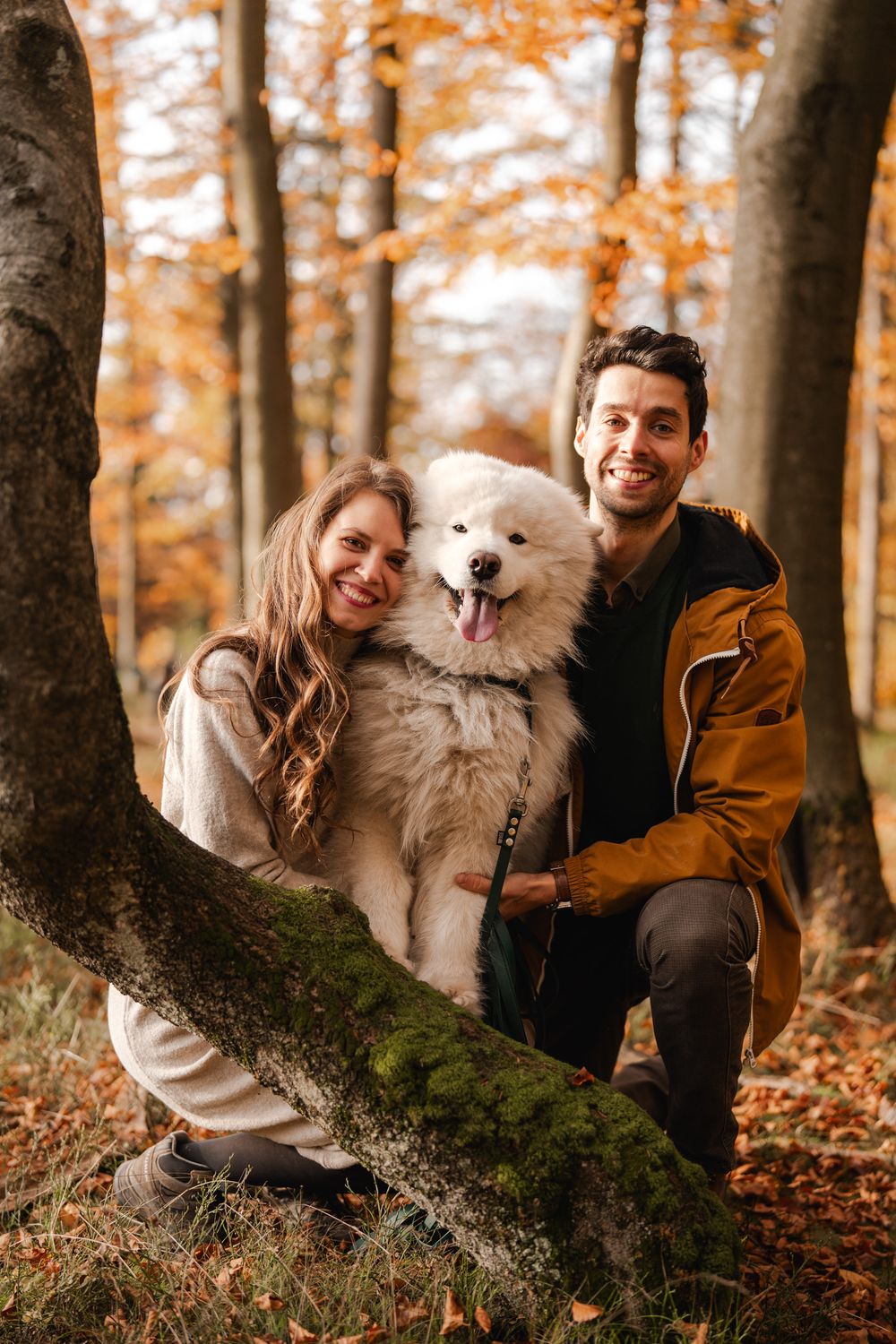 Romantyczna sesja narzeczeńska w górach Beskidu Śląskiego, para z psem samoyedem w jesiennym lesie, radość i naturalność w kadrze.