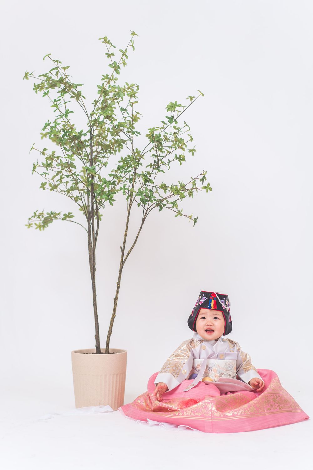 Traditional Korean hanbok dress worn beside potted plant against white background.