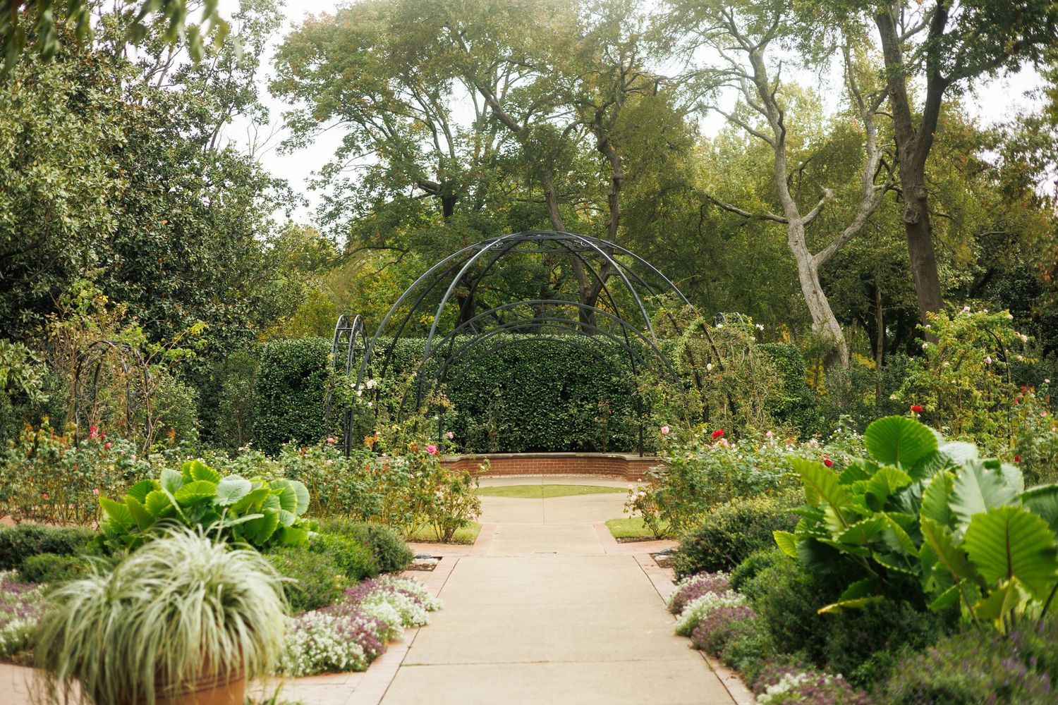 A steel domed archway inside a garden at the Dallas Arboretum, a Dallas wedding venue