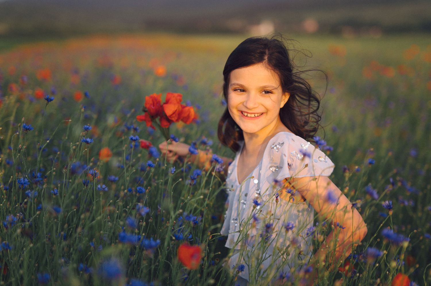 A person admiring wildflowers and red poppies in a beautiful summer meadow at sunset.