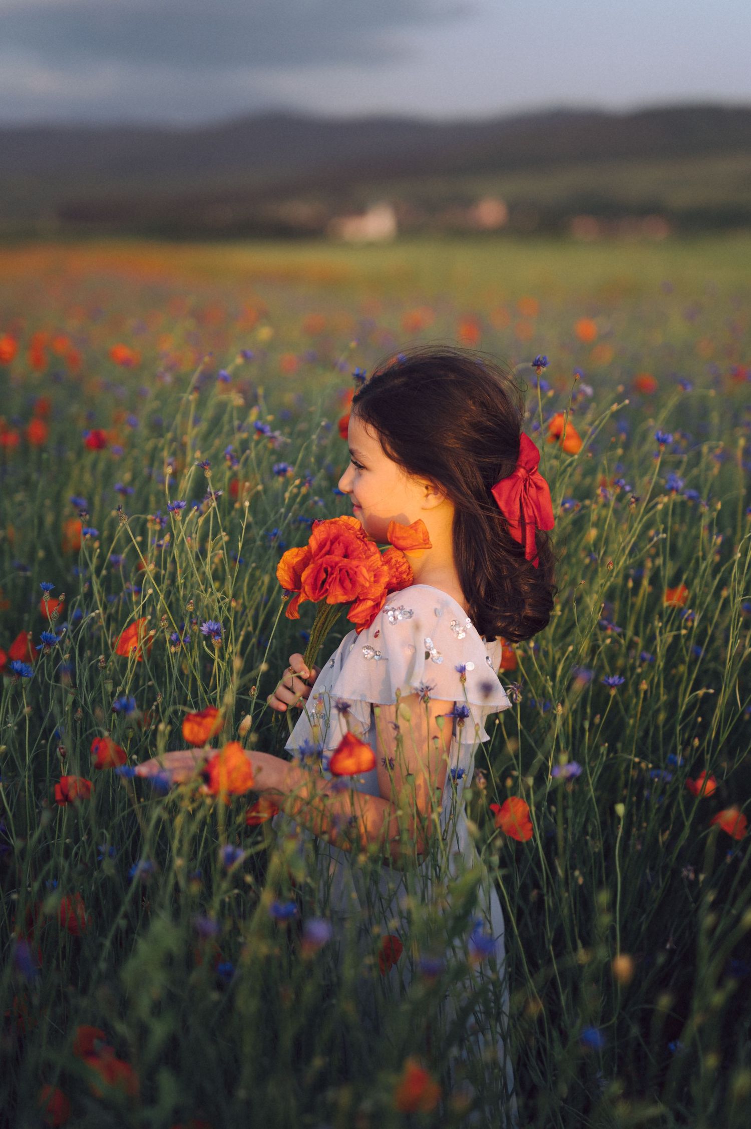 A serene meadow filled with vibrant red poppies and blue cornflowers at sunset, creating a dreamy natural backdrop.