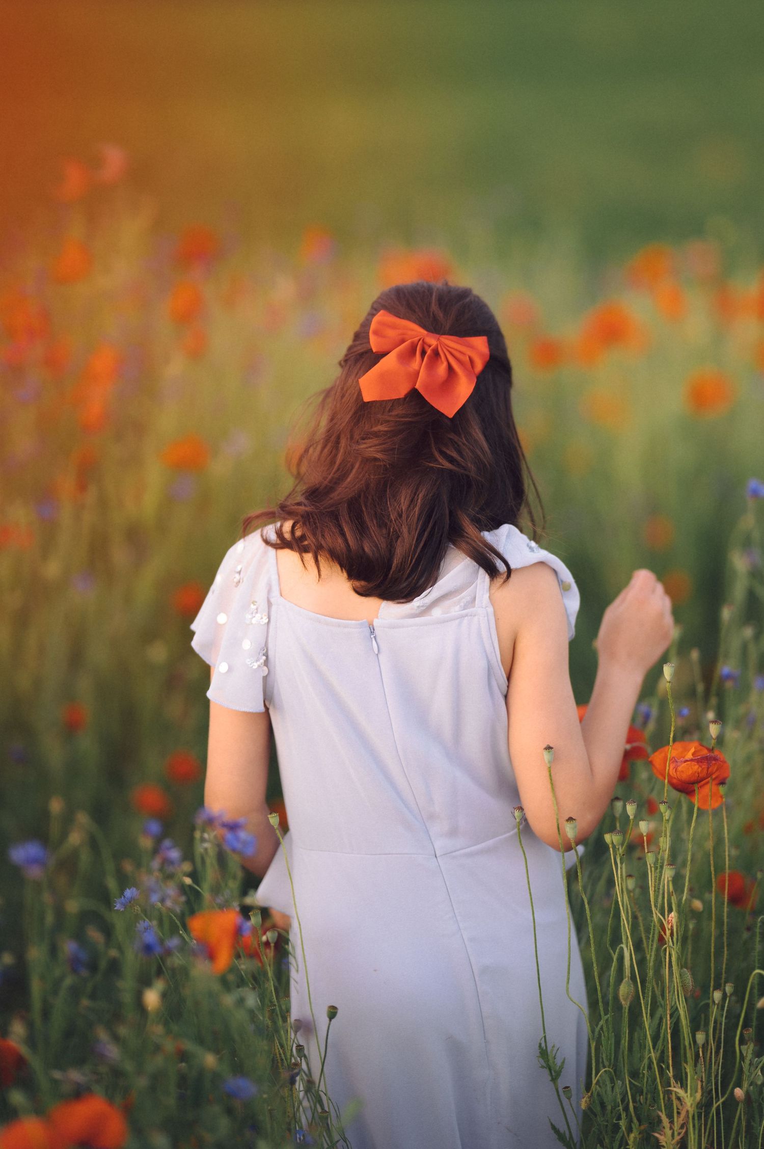 A figure in a white dress sits surrounded by vibrant red poppies and blue wildflowers in a dreamy summer meadow at sunset.
