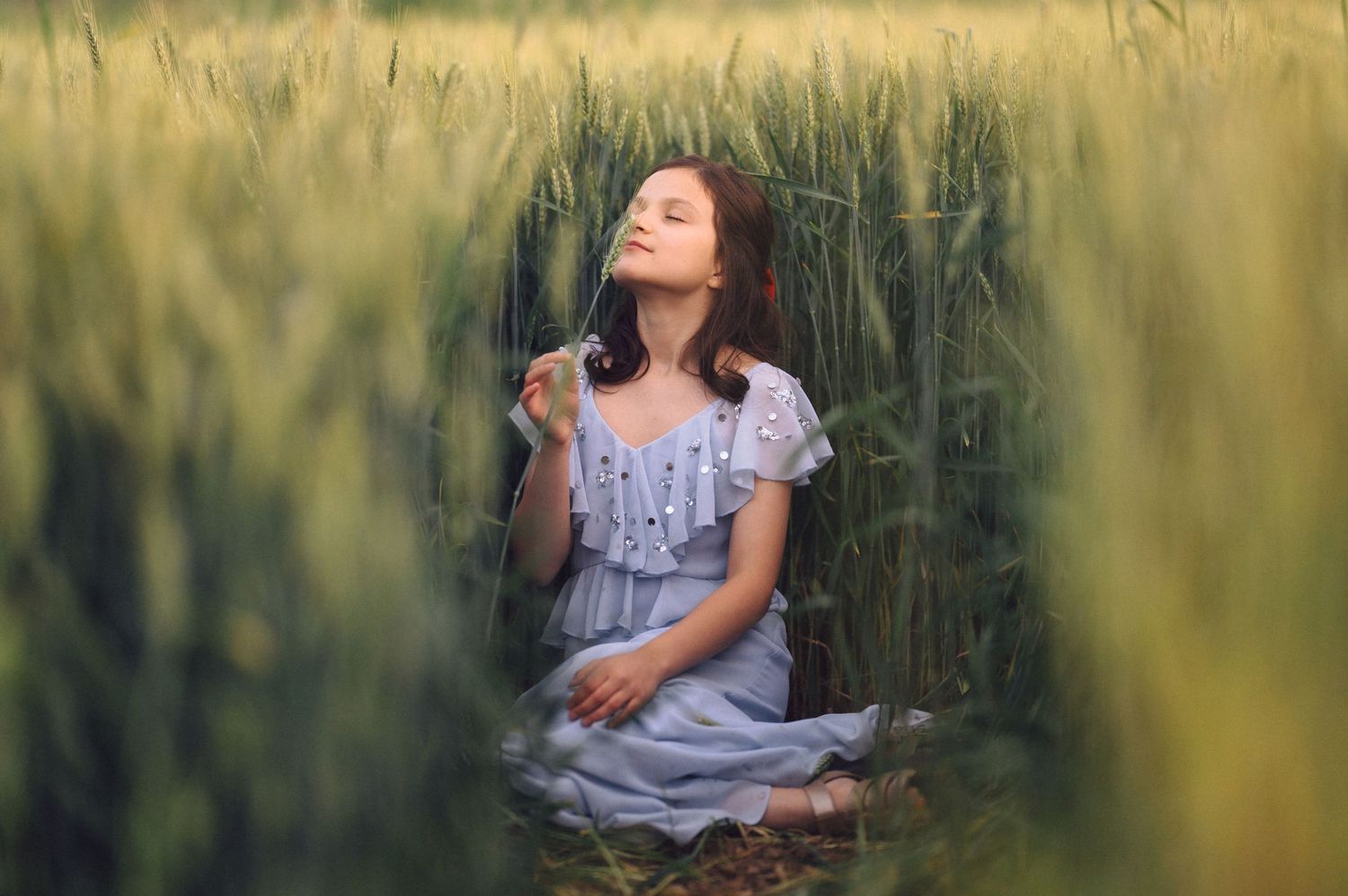 A person in a blue dress sits meditatively among tall golden wheat stalks in a sunlit field.