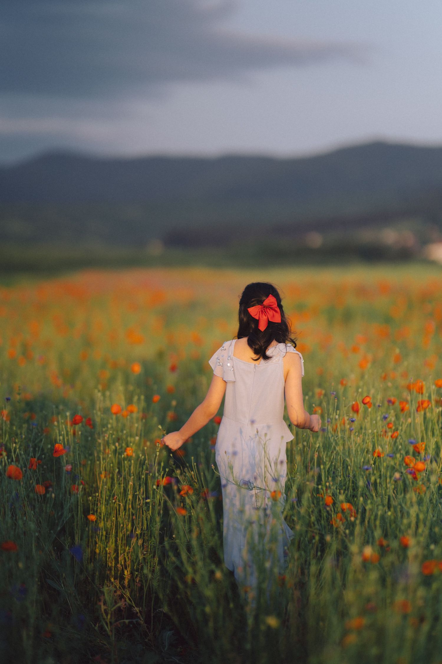 A misty landscape with green stalks and vibrant orange poppies stretches towards distant mountains in a dreamy scene.