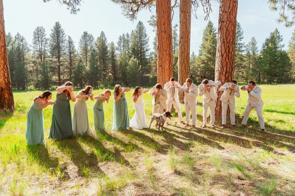 Wedding party forms a curved line among tall pine trees in a sunny meadow with bridesmaids in sage green dresses.