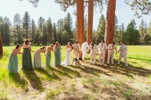Wedding party poses in formation on grassy field with pine trees creating long shadows in golden sunlight.