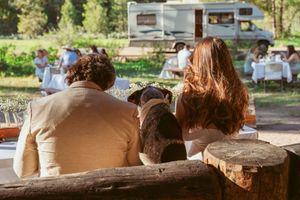 A rustic outdoor venue set among tall pine trees with wooden benches for guests.
