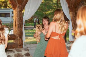 Wedding celebration under rustic wooden beams with hanging curtains and natural lighting.