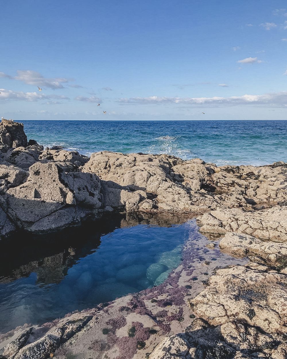 Natural rock pools with turquoise water along a rocky coastline under a bright blue sky and scattered clouds.