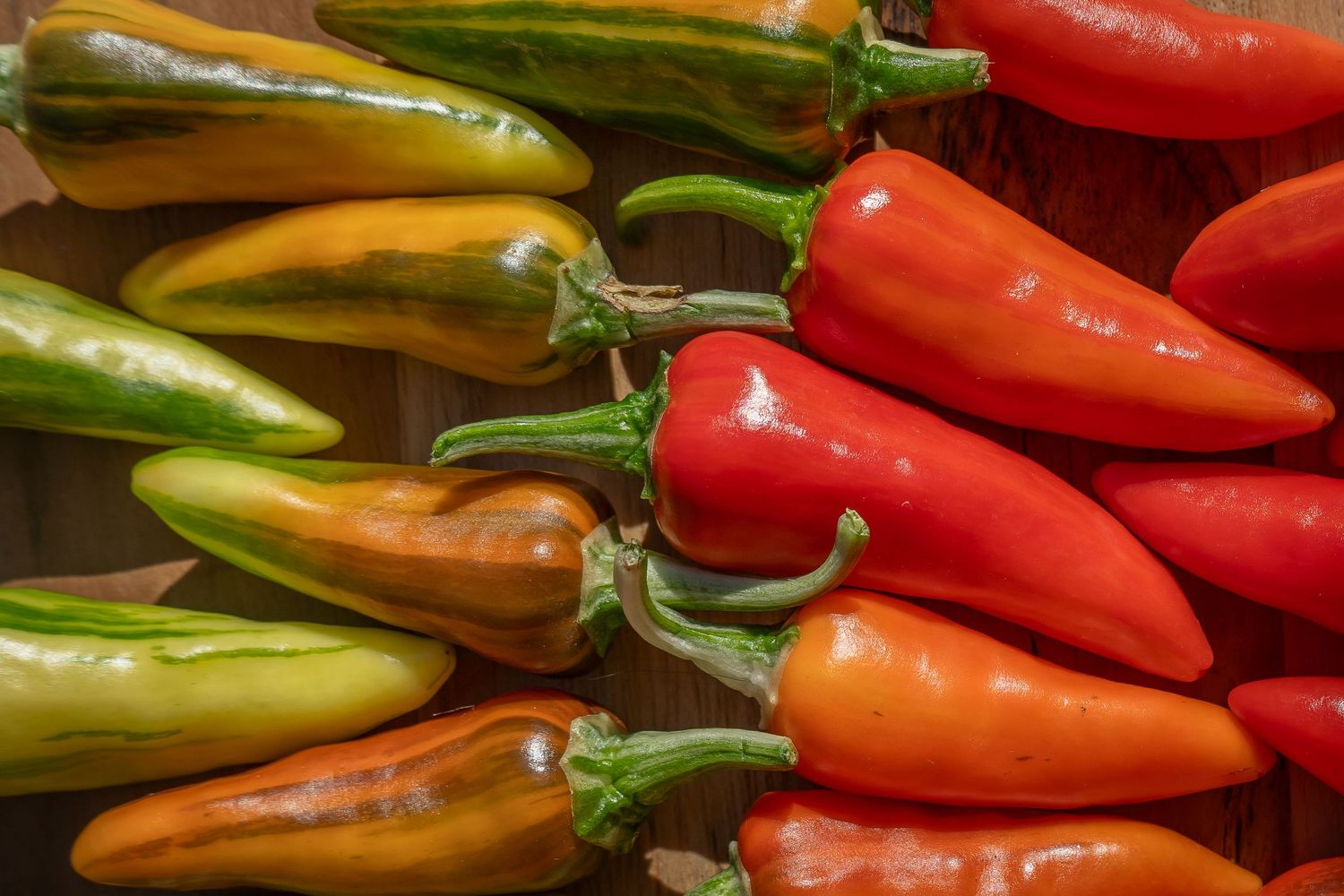 Fresh red and green chili peppers lined up in a row on a dark wooden surface.