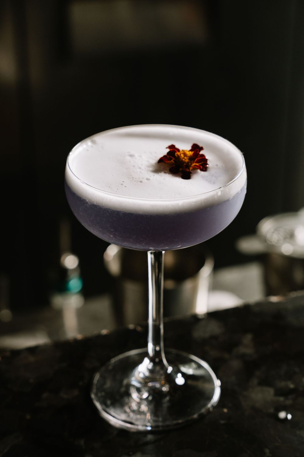 Elegant lavender cocktail with frothy foam and dried flower garnish served in a coupe glass on a dark bar.