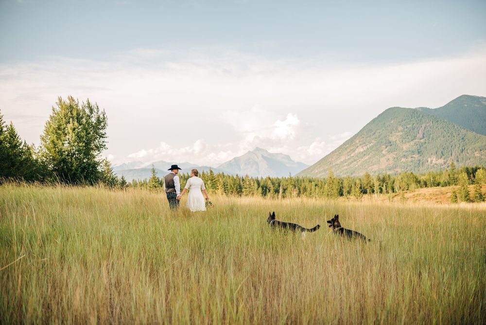 Couple in wedding attire walking through tall grass meadow with dog, mountain landscape backdrop on sunny day.