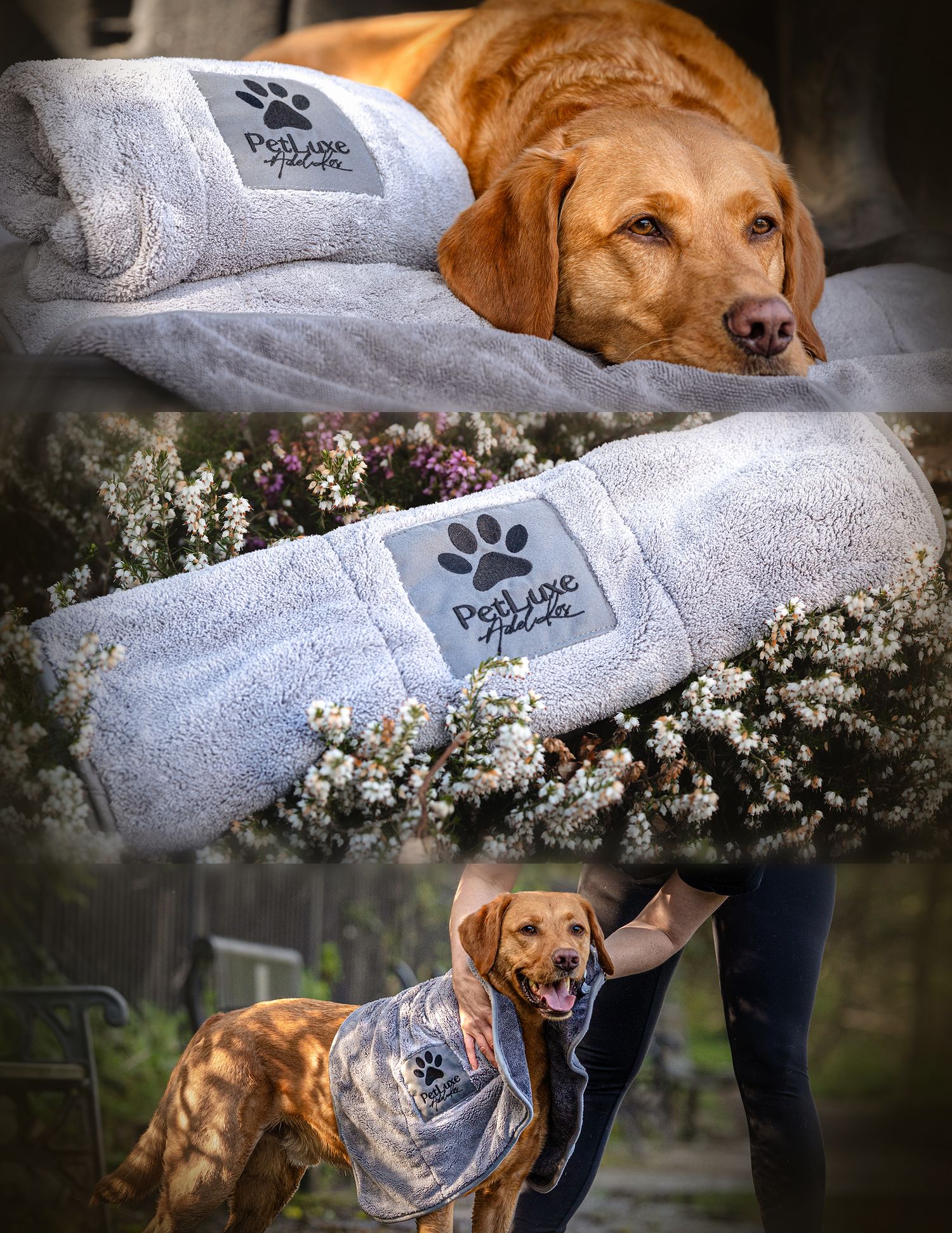 Dog towel amazon product branding videographer