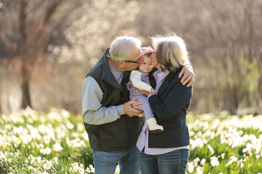 Loving grandparents kiss their baby grandchild in a beautiful spring daffodil field outdoors.